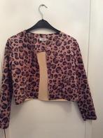 Leuk jasje van Azuri maat L nieuw, Kleding | Dames, Ophalen of Verzenden, Zo goed als nieuw