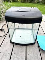 Aquarium Aqua 40 zwart, eventueel met toebehoren, Ophalen, Gebruikt, Leeg aquarium