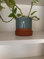 Mooie decoratieve vaas, Rond, Binnen, Ophalen of Verzenden, Zo goed als nieuw