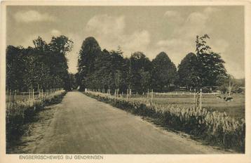 (387-017-055) Gendringen Engbergscheweg beschikbaar voor biedingen