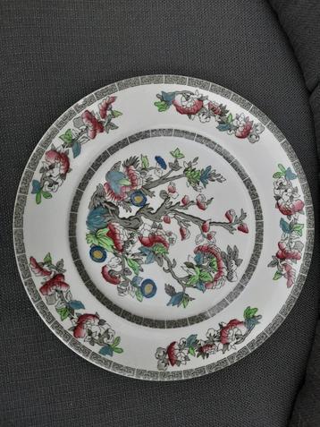 Indian tree, Johnson Bros England beschikbaar voor biedingen