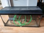 Juwel aqarium, Dieren en Toebehoren, Vissen | Aquaria en Toebehoren, Ophalen, Gebruikt, Leeg aquarium