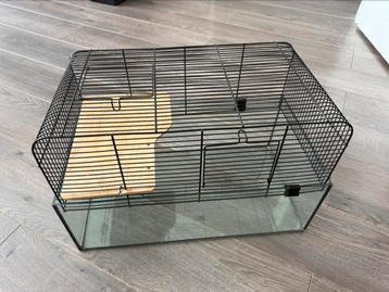 Hamsterkooi met glazen bak beschikbaar voor biedingen