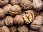 Walnoten te koop nog maar 5 kilo!!, Diversen, Levensmiddelen, Ophalen