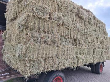 Goede kwaliteit hooi beschikbaar voor biedingen