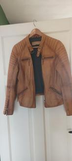 Cognac leren jack, Bruin, Maat 42/44 (L), Ophalen of Verzenden, Jasje