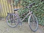 Damesfiets voor fietsvakantie, Fietsen en Brommers, Ophalen, Versnellingen, Giant, 53 tot 56 cm
