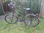Koga miyata Randonneur 54cm, 53 tot 56 cm, Ophalen, Gebruikt, Overige merken