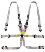 Fia Racegordels maar €99 per stuk óf 2 stuks €189, Ophalen of Verzenden, Nieuw