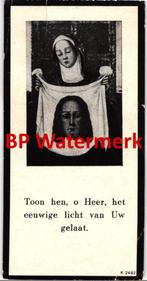 Vogelzang Minke 1874 Exmorra 1949 Bolsward Roodhuis x Terwis, Bidprentje, Ophalen of Verzenden