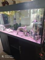 Te koop aquarium 120 lengte, Dieren en Toebehoren, Vissen | Aquaria en Toebehoren, Ophalen, Gebruikt, Gevuld zoetwateraquarium
