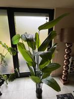 Kunst Bananenplant - 180cm - Zo goed als nieuw!, Overige soorten, In pot, 150 tot 200 cm, Groene kamerplant