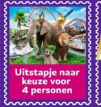 Uitstapje naar keuze (4 kaartjes), Tickets en Kaartjes, Drie personen of meer, Ticket of Toegangskaart