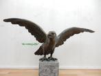 191* Bronzen Steenarend (Boven €75 geen verzendkosten), Ophalen of Verzenden, Nieuw, Overige materialen, Dierenbeeld