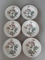 Diepe borden Villeroy en Boch Botanica, 12 beschikbaar, Huis en Inrichting, Keuken | Servies, Ophalen of Verzenden, Zo goed als nieuw