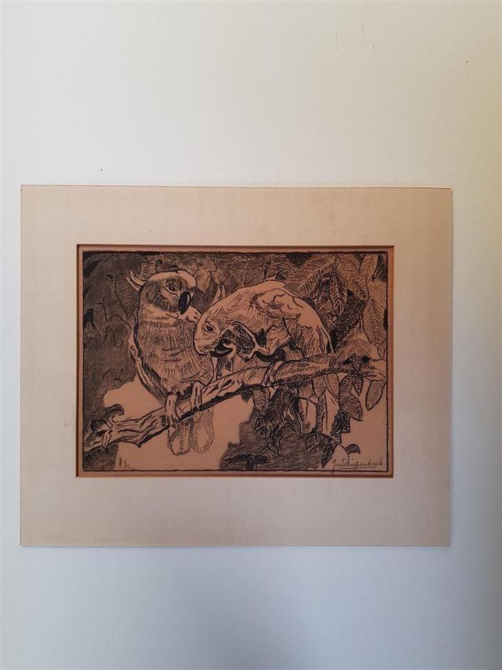 J. van Dieperink, tekening kakatoes, gesigneerd., Antiek en Kunst, Kunst | Tekeningen en Foto's, Ophalen of Verzenden