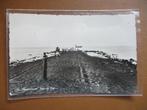 St. Maartenszee (1956), Verzenden, 1940 tot 1960, Gelopen, Limburg
