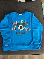 Disney sweater, Kinderen en Baby's, Kinderkleding | Maat 128, Gebruikt, Ophalen of Verzenden