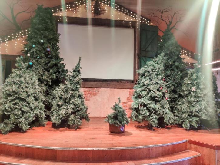 XXXL, XL, L en M kerstbomen mix, Diversen, Kerst, Gebruikt, Ophalen