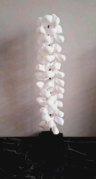 Witte echte schelpenketting streng op zwarte voet vakkenkast, Huis en Inrichting, Woonaccessoires | Overige, Nieuw, Ophalen of Verzenden