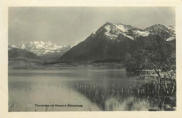 (701-457-035) Thunersee Niesen beschikbaar voor biedingen