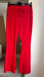 Mi Piace travelstof broek maat XL, Kleding | Dames, Mi Piace, Maat 46/48 (XL) of groter, Nieuw, Ophalen of Verzenden