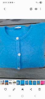 Blauwe Cardigan American Vintage - Maat L, Blauw, Maat 42/44 (L), Ophalen of Verzenden, Zo goed als nieuw