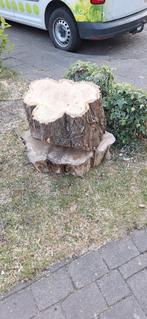 Acacia hout voor de kachel. 2 grote zware blokken., Tuin en Terras, Haardhout, Minder dan 3 m³, Ophalen, Overige houtsoorten, Blokken