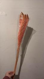 Lange roze pluimen, Ophalen, Zo goed als nieuw