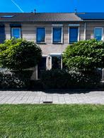 Te koop, 2 Catalpa bomen, Tuin en Terras, Planten | Bomen, Ophalen, Volle zon, Overige soorten