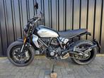 Ducati Scrambler Icon MY 2024!, Motoren, Motoren | Ducati, Bedrijf, Meer dan 35 kW, Toermotor, 803 cc