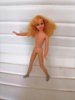 Vintage barbie poppen living skipper, Ophalen of Verzenden, Gebruikt, Fashion Doll