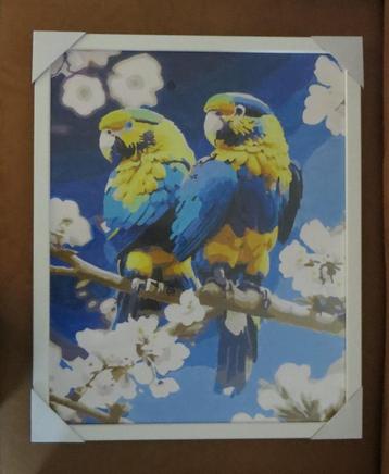 Papegaai - Schilderij 40x50 in witte lijst beschikbaar voor biedingen