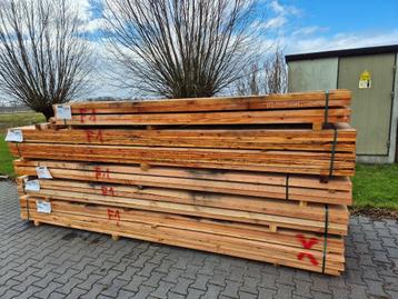 Douglas hout te koop – scherpe prijzen beschikbaar voor biedingen