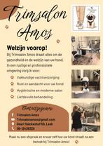 Trimsalon voor een volledige vachtverzorging!, Ophalen