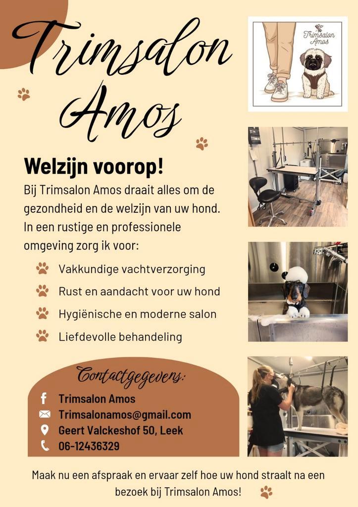 Trimsalon voor een volledige vachtverzorging!, Dieren en Toebehoren, Honden-accessoires, Ophalen