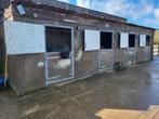 Paardenstal container 40 ft, Dieren en Toebehoren, Stalling en Weidegang