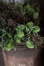 Bosje groene distel, Www.jufbrocante.nl, Www.jufbrocante.nl, Nieuw, Ophalen of Verzenden