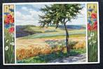 Graanveld met klaproos, korenbloem en margriet, W. Schacht, Verzamelen, Verzenden, Voor 1920, Ongelopen, Natuur