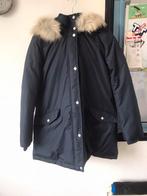 Z.g.a.n donkergrijze Tommy Hilfiger Jas met Capuchon maat XL, Kleding | Dames, Maat 46/48 (XL) of groter, Ophalen of Verzenden