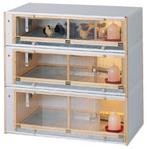 Opfokhokken: koopzondag bij kippenshop jordi, Dieren en Toebehoren, Pluimvee | Toebehoren, Ophalen, Nieuw, Overige typen