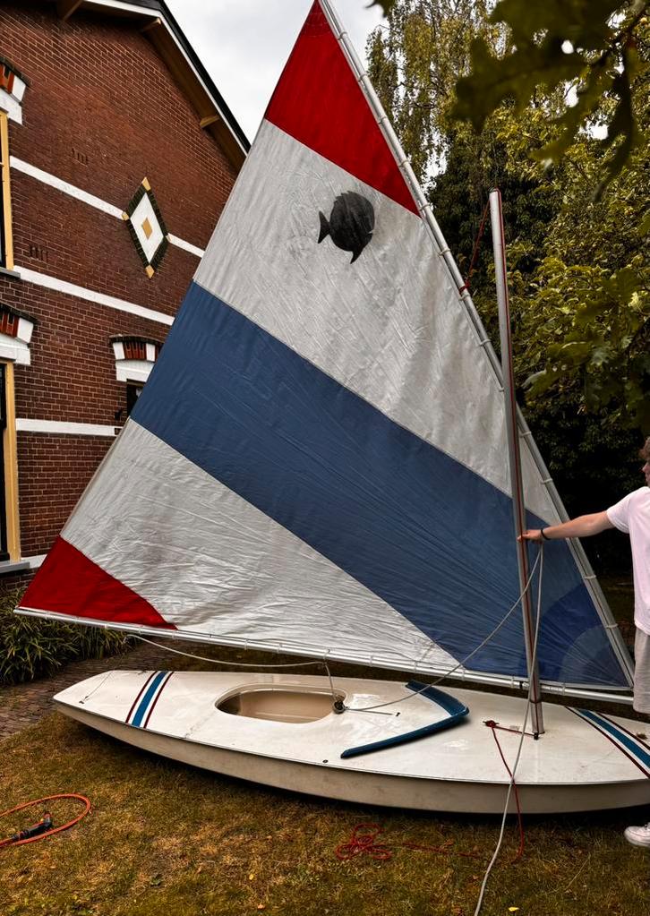 Alcor Sunfish zeilboot, Watersport en Boten, Zeilen en Zeiltoebehoren, Gebruikt, Minder dan 15 m², 3 tot 6 meter, Ophalen of Verzenden