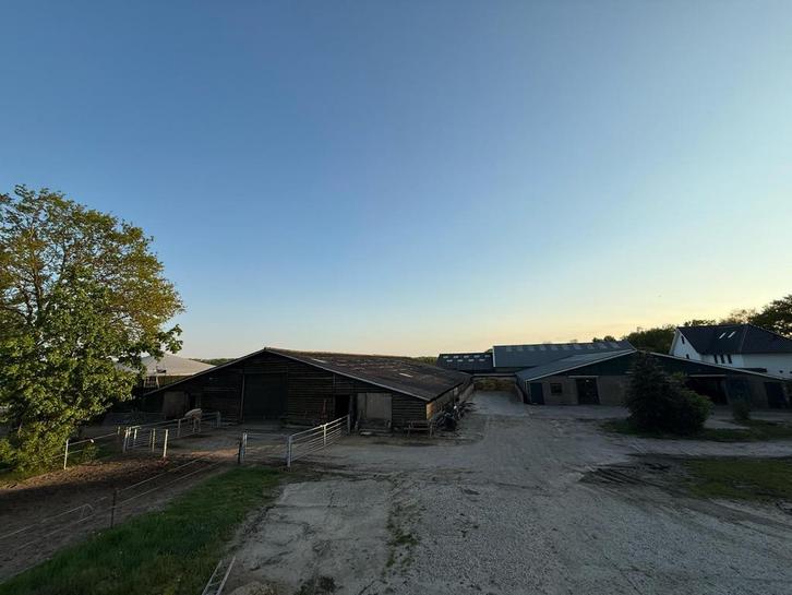 Paarden stalling Vlijmen omgeving Den Bosch, Dieren en Toebehoren, Stalling en Weidegang, Stalling