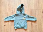 Lichtgroene hoodie maat 92, Kinderen en Baby's, Kinderkleding | Maat 92, Zeeman, Trui of Vest, Ophalen of Verzenden, Zo goed als nieuw