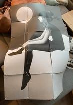 Ixxi schilderij, Ophalen, Zo goed als nieuw