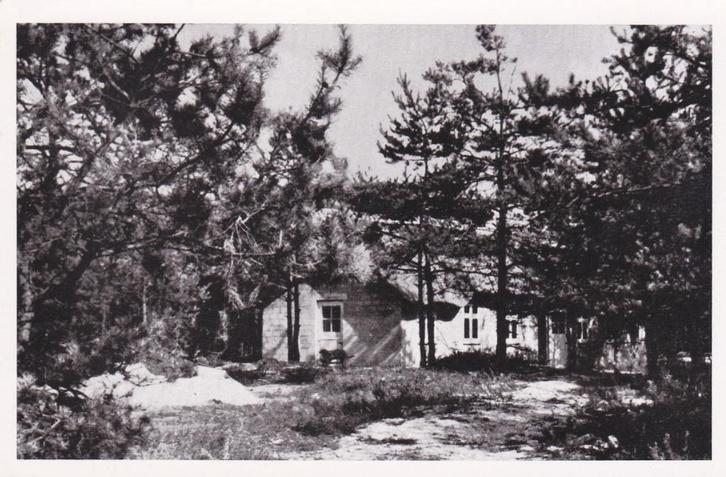 17291 Vakantie en kampeercentrum Katjeskelder Oosterhout, Verzamelen, Ansichtkaarten | Nederland, Ongelopen, Noord-Brabant, 1940 tot 1960