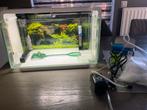 Superfish home 25, Dieren en Toebehoren, Vissen | Aquaria en Toebehoren, Ophalen of Verzenden, Zo goed als nieuw, Leeg aquarium