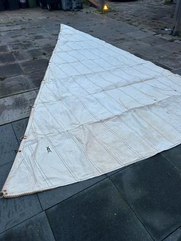 Witte kartoenen fok beschikbaar voor biedingen