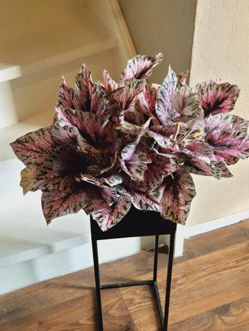 Begonia kunstplant realistisch  beschikbaar voor biedingen