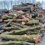 Haardhout, stammen eik, es partij, 6 m³ of meer, Ophalen